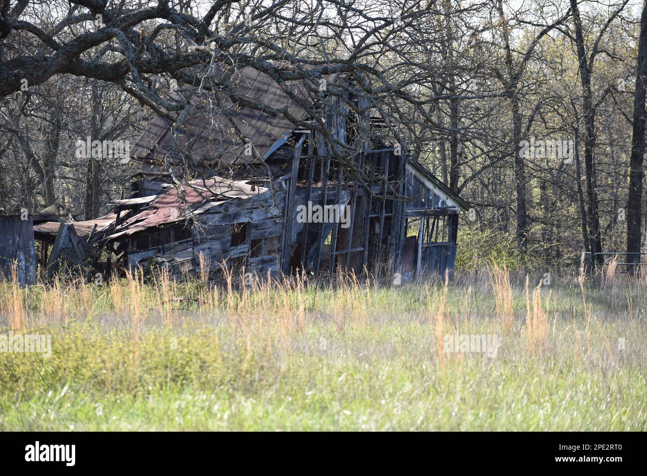 Un vecchio edificio abbandonato in una fattoria di bestiame in Missouri, MO, Stati Uniti, Stati Uniti, USA, sta rallentando cadere mentre si arrende al tempo e agli elementi. Foto Stock
