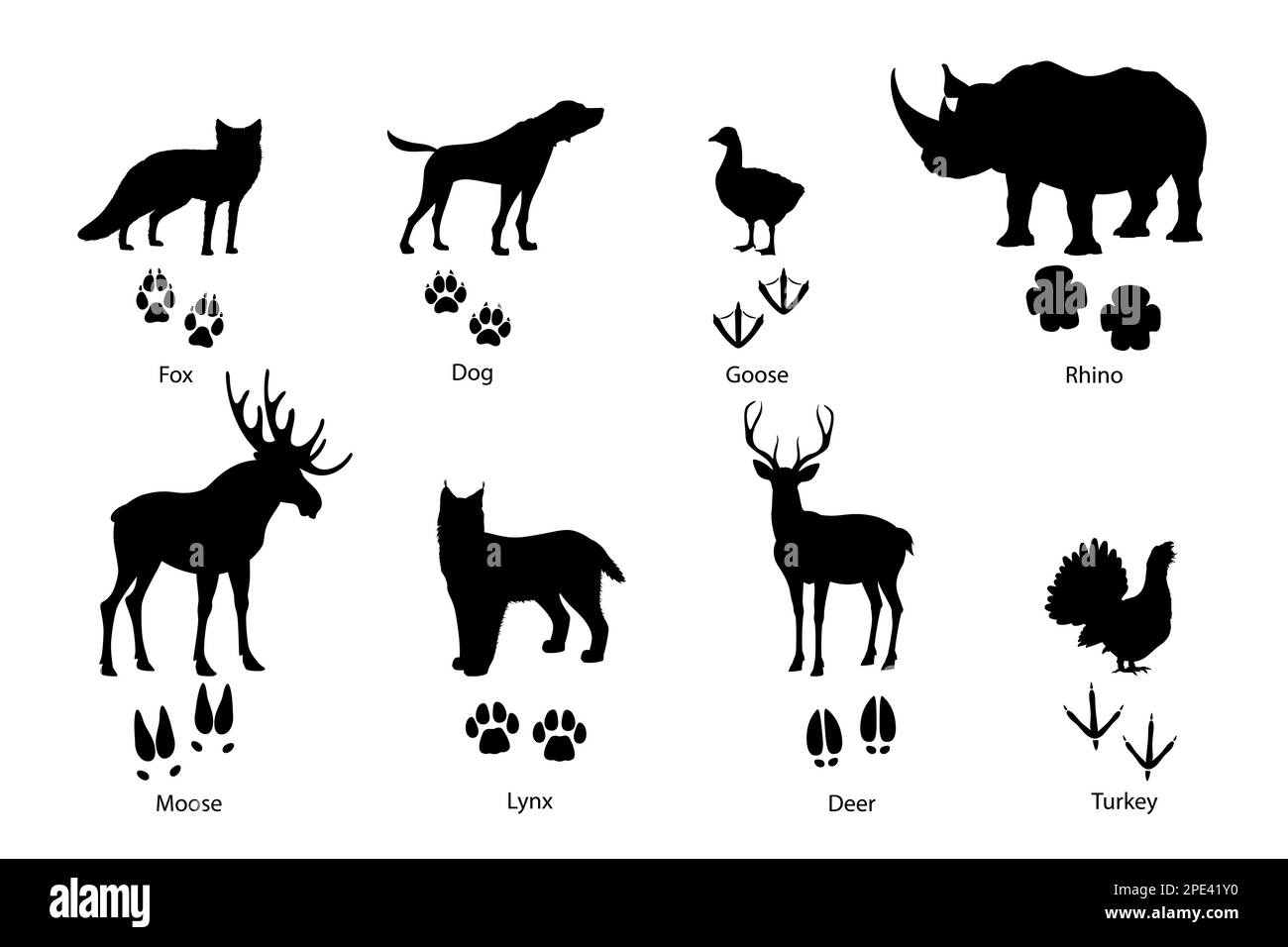 Orme e sagome animali di volpe selvatiche, cuccioli e uccelli, stampe di zampe vettoriali con artigli. Cervi o alce, rinoceronte e lince, tacchino o goo Illustrazione Vettoriale