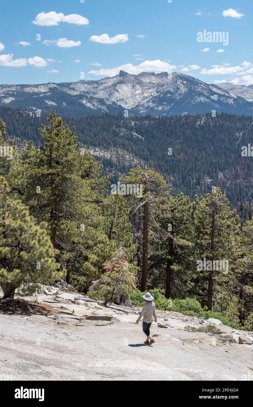 Una giovane donna fa un'escursione giù per la piccola cupola di granito Baldy verso la linea dell'albero dalla cima del Parco Nazionale di Sequoia. Foto Stock