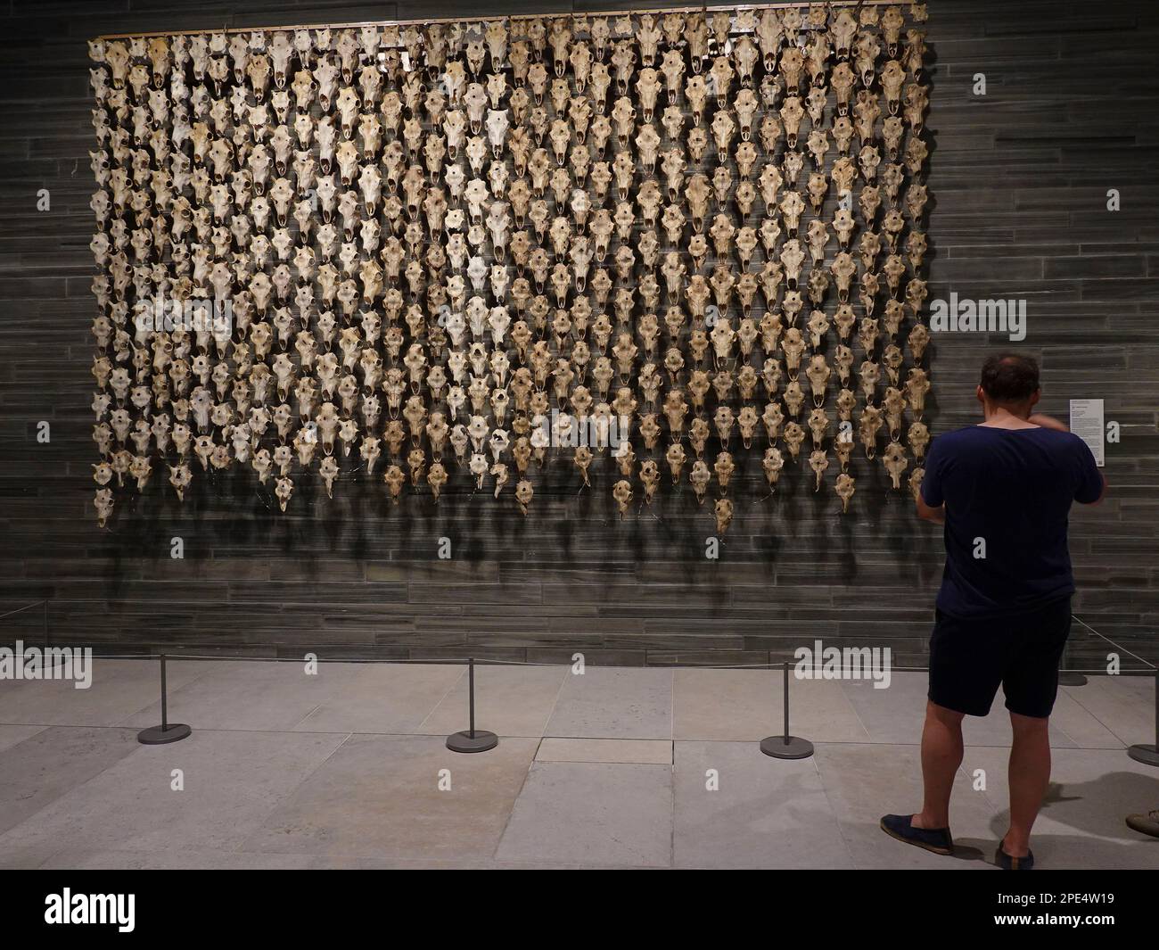 Norvegia, Oslo, il nuovo Museo Nazionale Nasjonalmuseet è il più