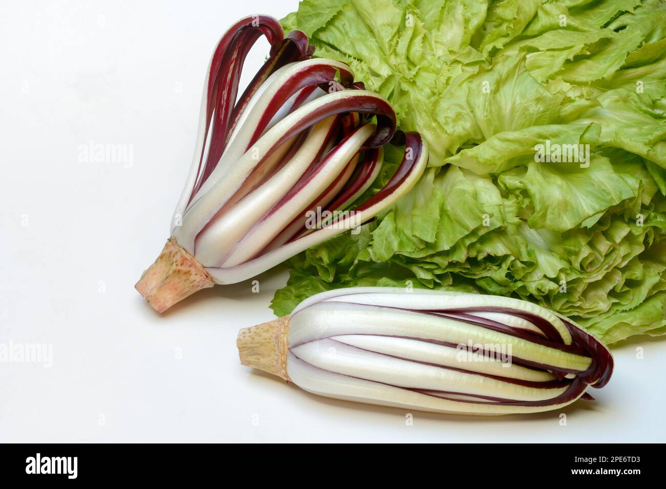 Radicchio davanti all'indivia, Cicorino rosso Tardivo Foto Stock