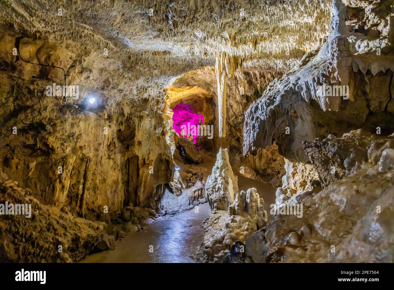Baerenhoehle, con circa 8, 000 visitatori l'anno, la grotta di pietra drippica è la più visitata grotta dello spettacolo dell'Albo Svevo, Sonnenbuehl Foto Stock