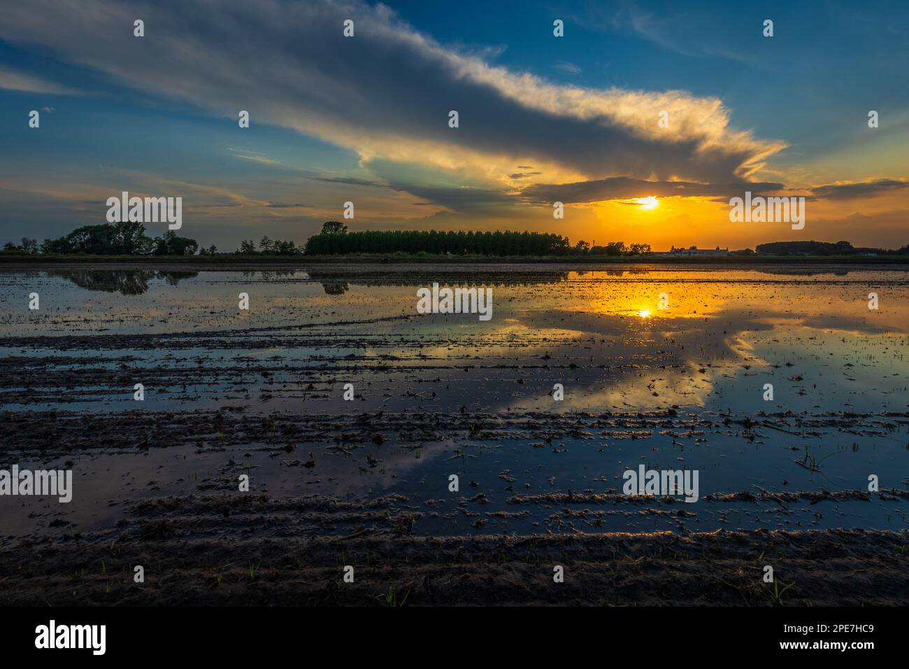 Tramonto nei campi di Borgolavezzaro in Piemonte Foto Stock