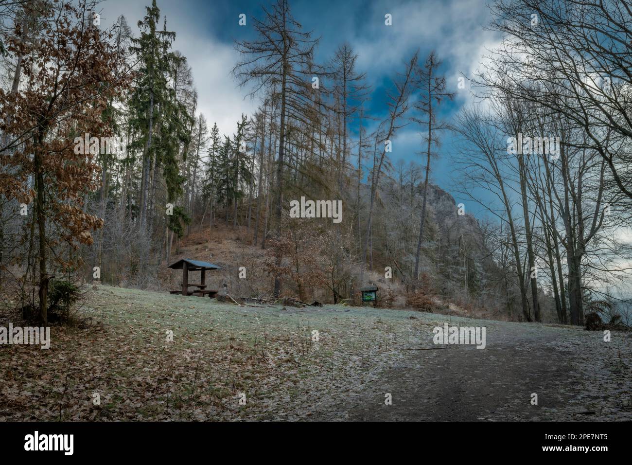 Paesaggio vicino alla roccia di Semnicka in inverno freddo mattina fresca Foto Stock