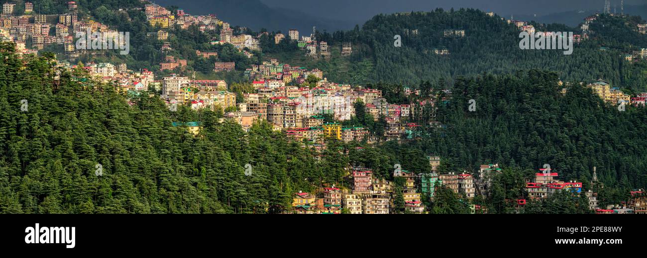 Montagna densamente popolata di Shimla, in Himachal Pradesh, India Foto Stock