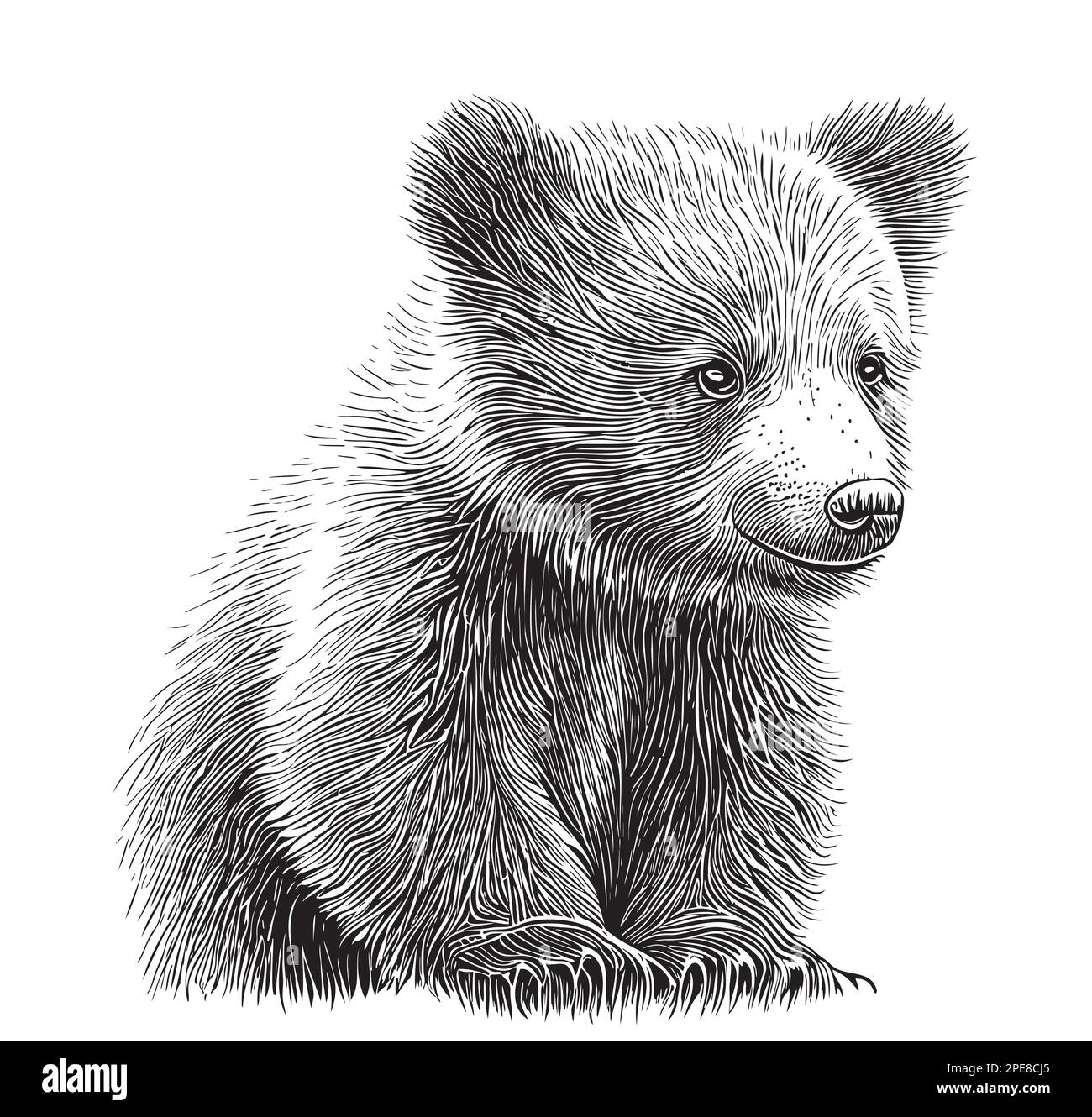 Piccolo orso cucciolo disegnato a mano schizzo vettore illustrazione animali Illustrazione Vettoriale