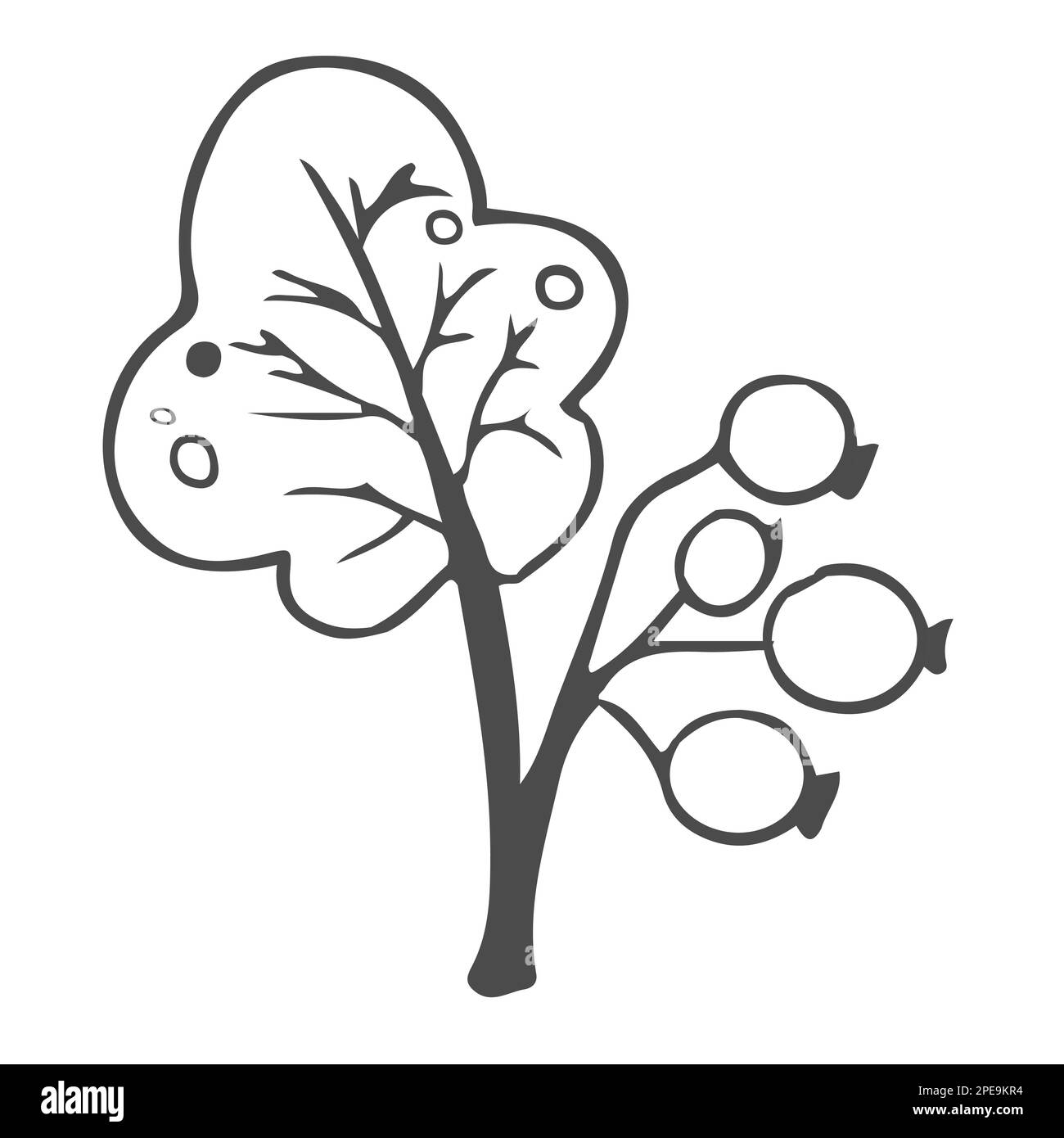 Doodle foglie disegnate a mano, fogliame, bella pianta estetica elegante isolato su sfondo bianco. Bordo, elemento di progettazione, disegno di schizzo. Illustrazione vettoriale Illustrazione Vettoriale