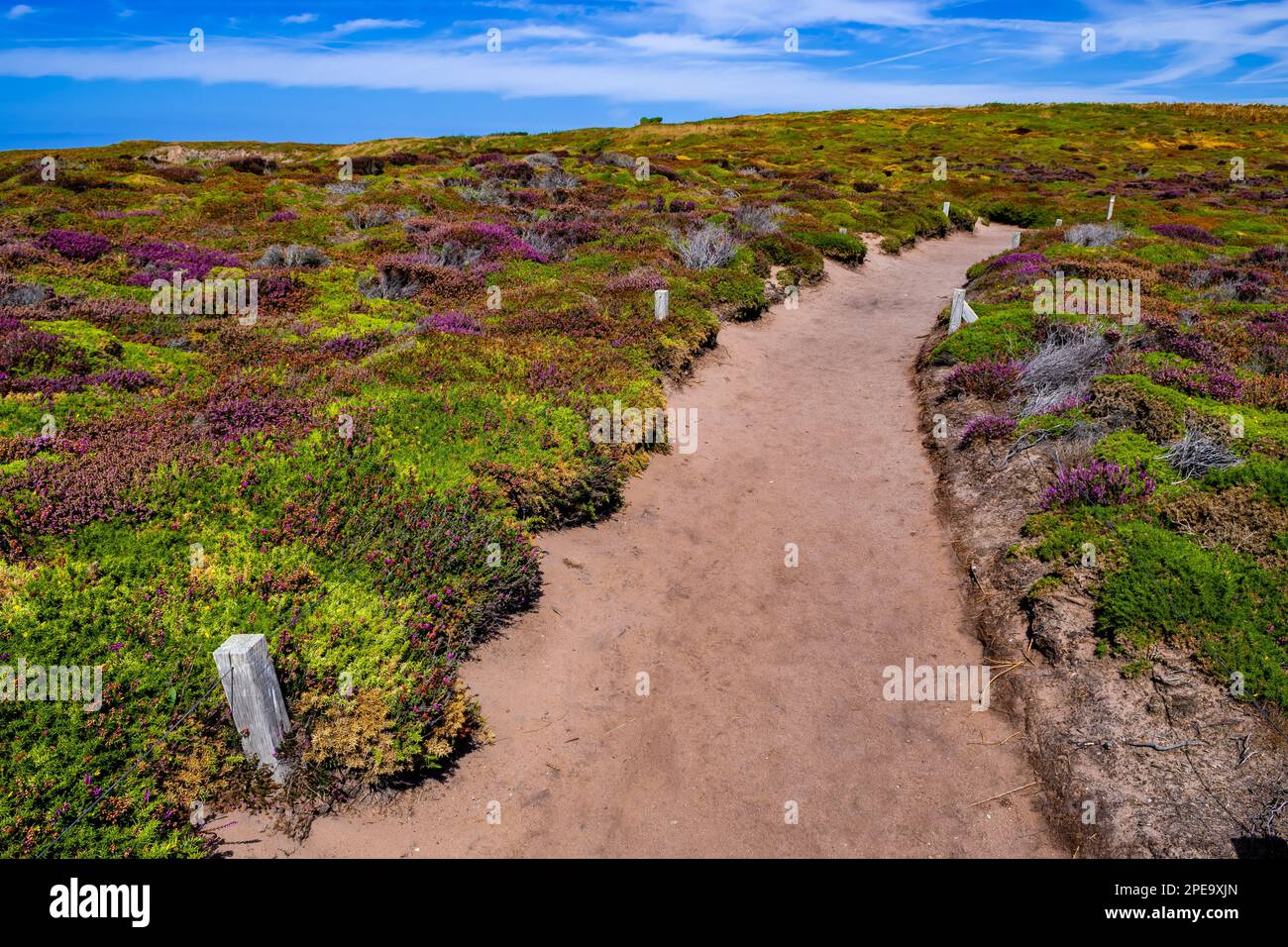 Sentiero escursionistico sulla costa atlantica di Cap Frehel in Bretagna, Francia Foto Stock