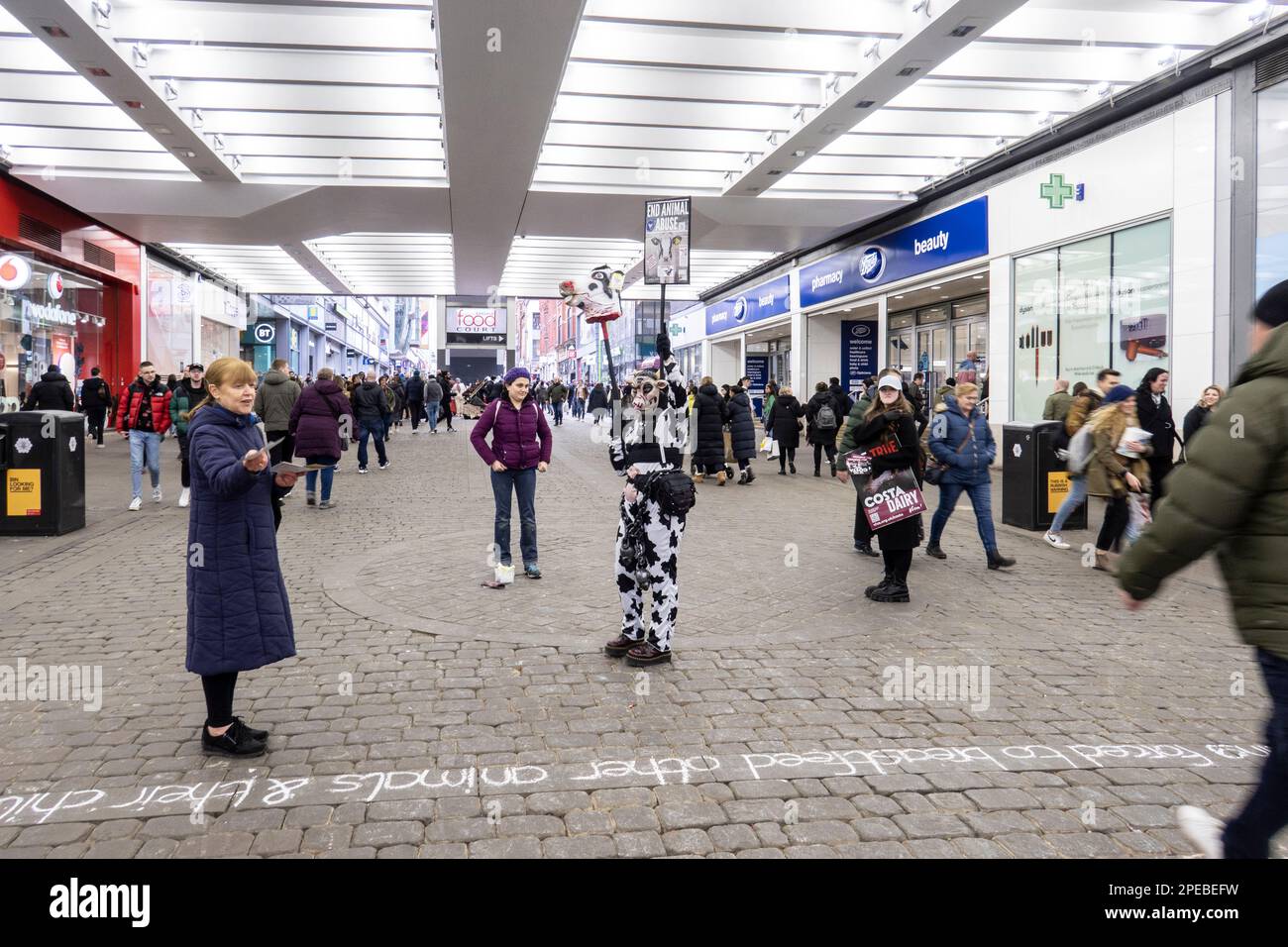 Salford, Manchester, regno unito, 11 marzo 2023 persona con maschera di vacca protesta contro l'agricoltura lattiero-casearia, condannata dai manifestanti a causa della violazione di ani Foto Stock