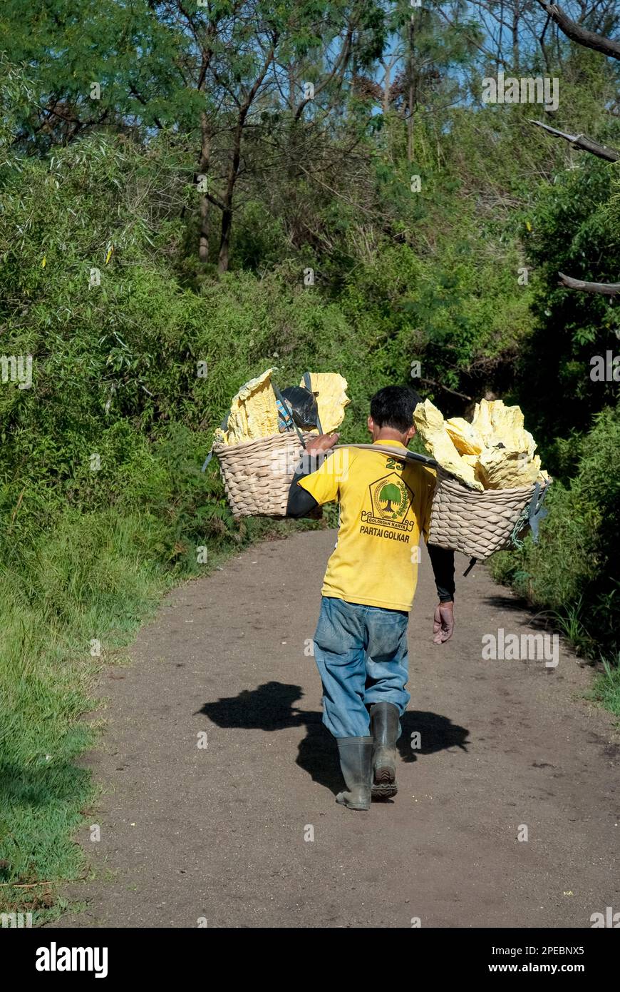 Uomo locale che trasporta blocchi di zolfo in cesti giù dal cratere, Monte Ijen, Giava Est, Indonesia Foto Stock