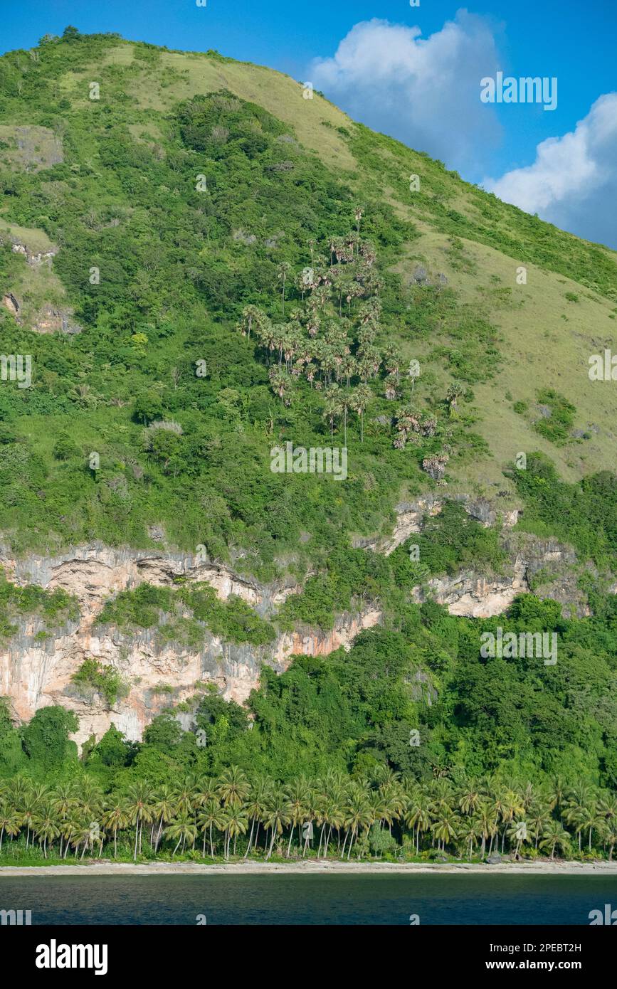 Costa, Tanibar, Isole Forgotten, Mare di banda, Indonesia Foto Stock