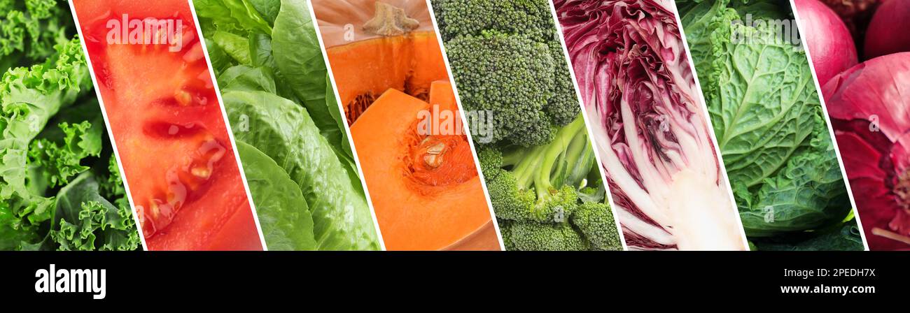 Collage con verdure fresche mature diverse. Design del banner Foto Stock