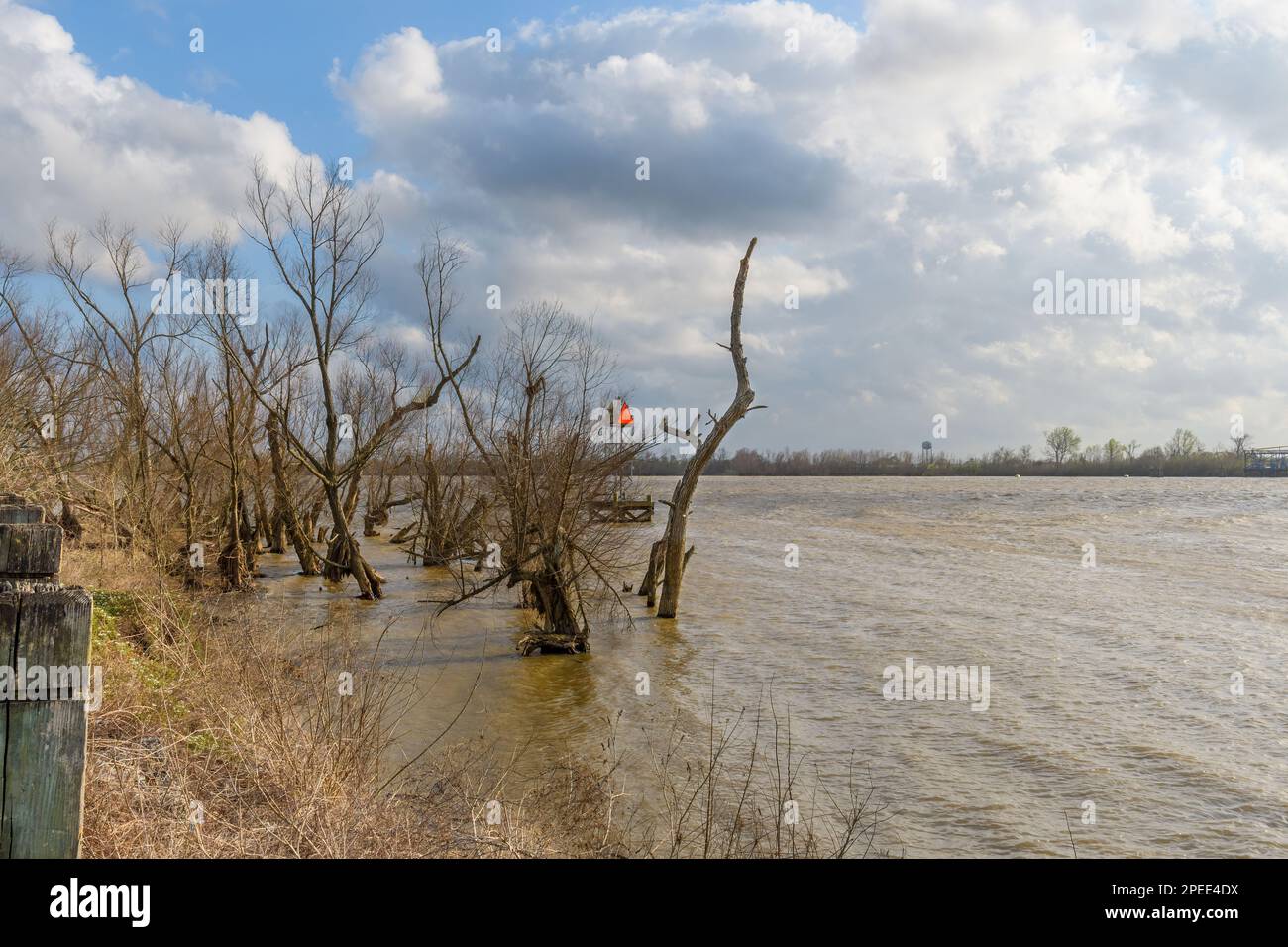 Acqua alta sul fiume Mississippi come visto dal contrassegno 102 di Fly at Mile a New Orleans alla Cisgiordania sullo sfondo Foto Stock