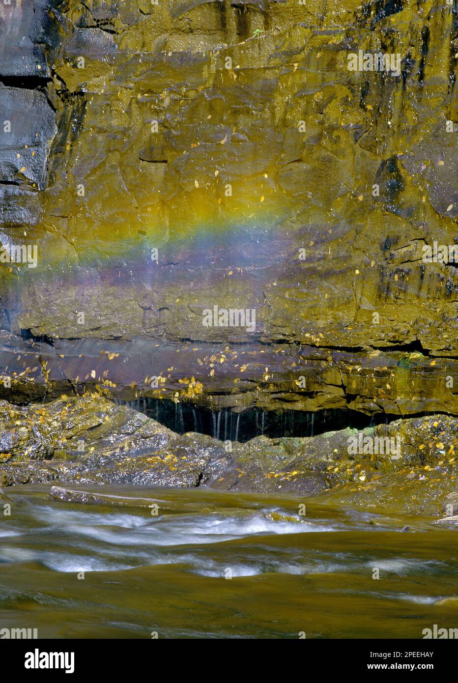 Un arcobaleno che si innesca in primavera alimenta l'acqua che cade su una sporgenza rocciosa al Worlds End state Park, Pennsylvania Foto Stock