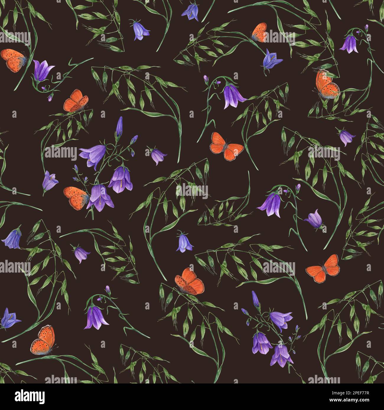 Motivi floreali senza cuciture di bluebells, avena selvatica, farfalle volanti isolate su sfondo scuro. Illustrazione disegnata a mano in acquerello per poster Foto Stock