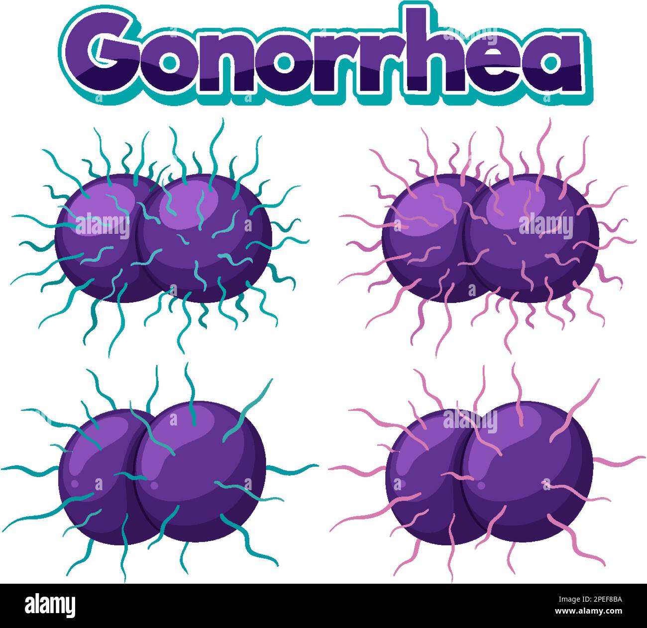 Neisseria gonorrhoeae su sfondo bianco Illustrazione Vettoriale