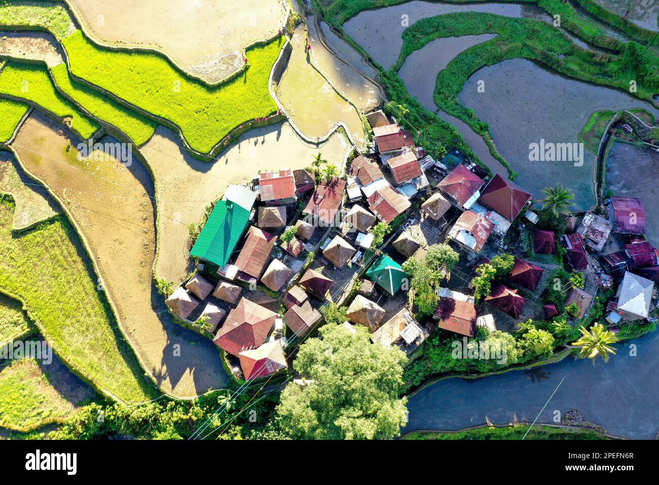 Vista dall'alto del drone girato sulle risaie a terrazze di Banaue nelle Filippine, con un piccolo insediamento su di esso. Foto Stock