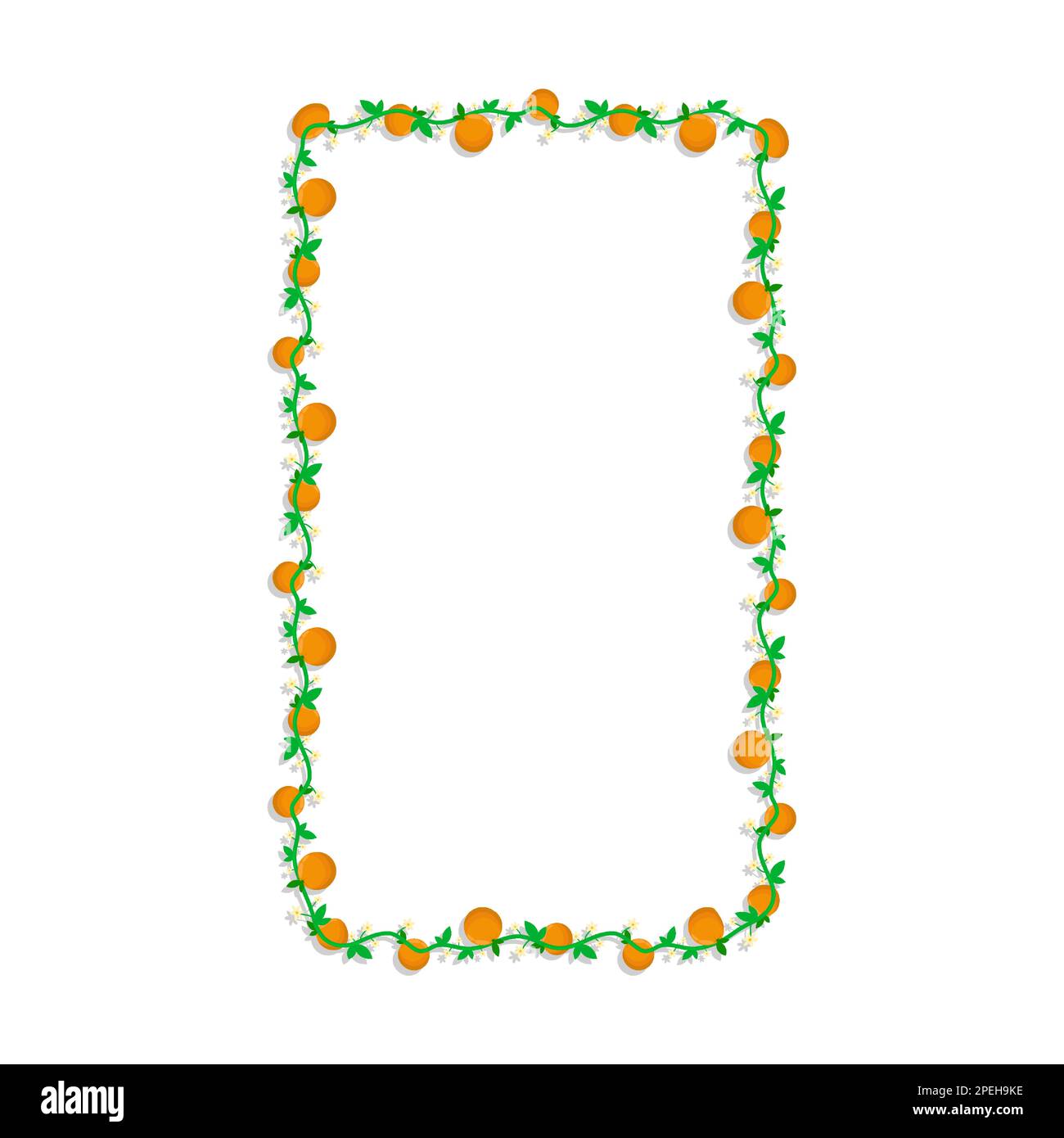 Cornice rettangolare con frutta di mandarino e rami d'arancio in fiore. Bordo di tessitura isolato su sfondo bianco. Elemento decorativo vettoriale Illustrazione Vettoriale