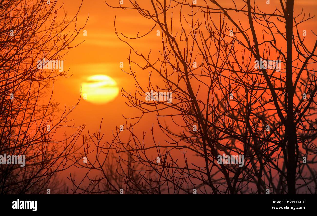 16 marzo 2023, Baden-Württemberg, Dürmentingen: Il sole sorge dietro gli alberi al mattino. Oggi, le persone possono aspettarsi un sacco di sole con temperature tra gli otto e 16 gradi. Venerdì sarà simile: Un sacco di sole con alti di 21 gradi. Foto: Thomas Warnack/dpa Foto Stock