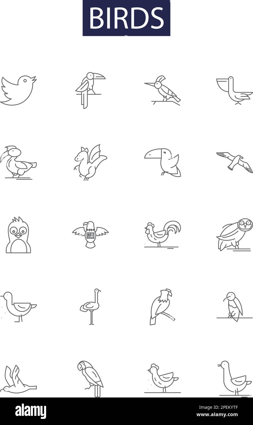 Icone e segni vettoriali linea uccelli. uccelli, raptor, songbird, pellicano, colomba, set di illustrazioni vettoriali a contorno di pappagalli, cigni, jay Illustrazione Vettoriale