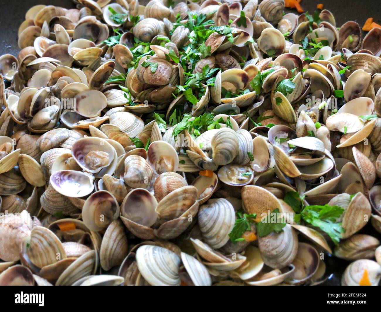 Frutti di mare. Vongole cotte saltate con prezzemolo Foto Stock