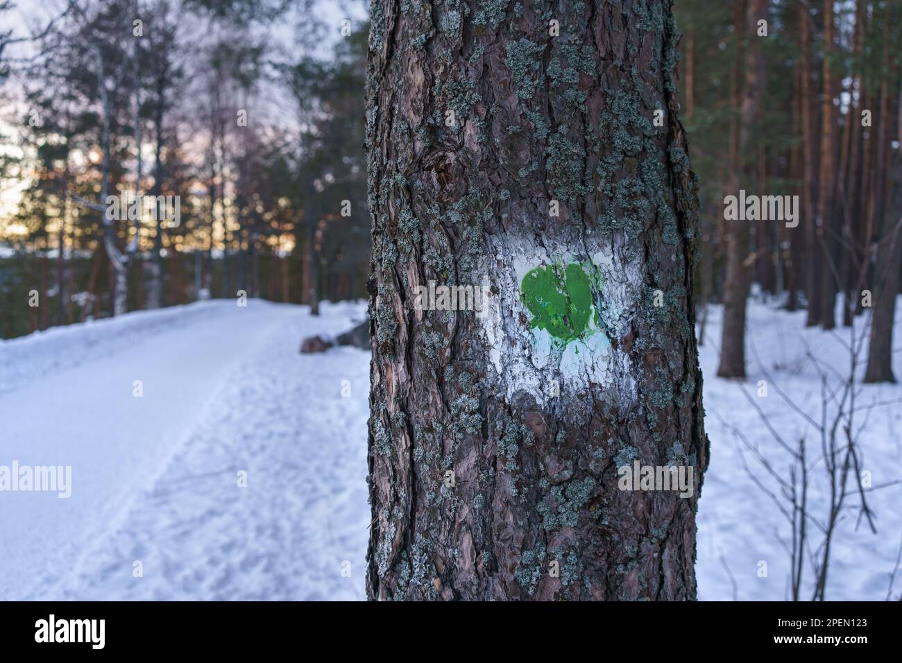 Segnavia di Lehmusreitti (Tilia Trail) in inverno, il sentiero naturalistico urbano di Lahti, Finlandia. Foto Stock