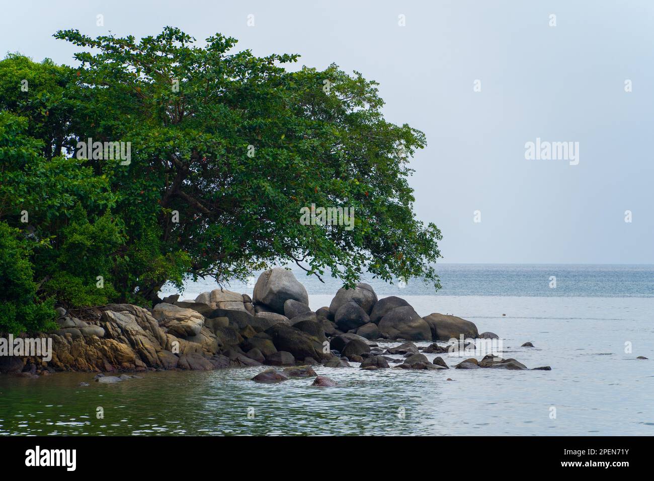 Paesaggio vulcanico roccioso isola tropicale costa con alberi. Foto Stock