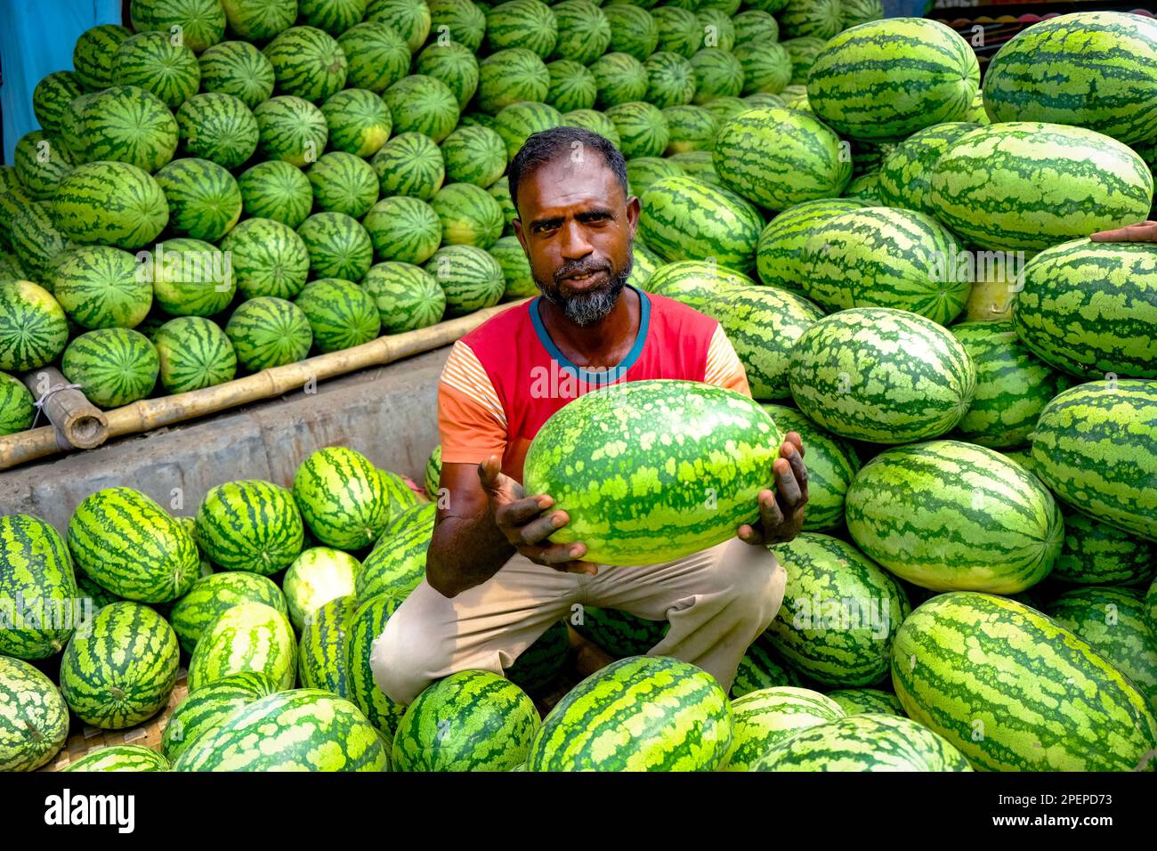 16 marzo 2023, West Tootpara, Khulna, Bangladesh: L'anguria è un frutto popolare in Bangladesh, ed è coltivata in molte regioni, tra cui Khulna. La domanda di anguria è elevata, soprattutto durante la stagione estiva, quando il clima è caldo. Il prezzo del cocomero nel mercato può variare secondo la qualità, la taglia, e la disponibilità del fruit.in anni recenti, il governo del Bangladesh ha preso varie iniziative per promuovere la coltivazione del cocomero nel paese. Tali iniziative includono sovvenzioni, formazione e assistenza tecnica agli agricoltori. Di conseguenza, la produzione Foto Stock