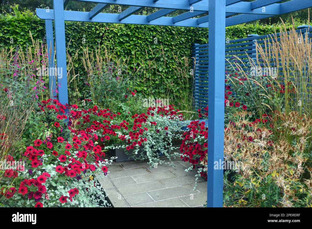 Blue Wood Timber Gazebo e Fence sulla zona patio pavimentata a RHS Garden Harlow Carr, Harrogate, Yorkshire. Inghilterra, Regno Unito. Foto Stock