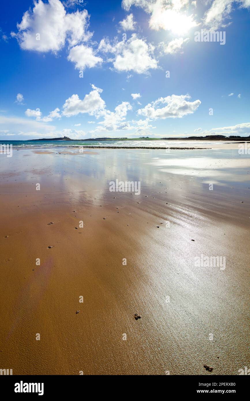 Dunstanburgh Castle Northumberland Coast, Embleton Bay fotografato in marzo bello sole. Con bassa marea e sabbie bagnate. Foto Stock