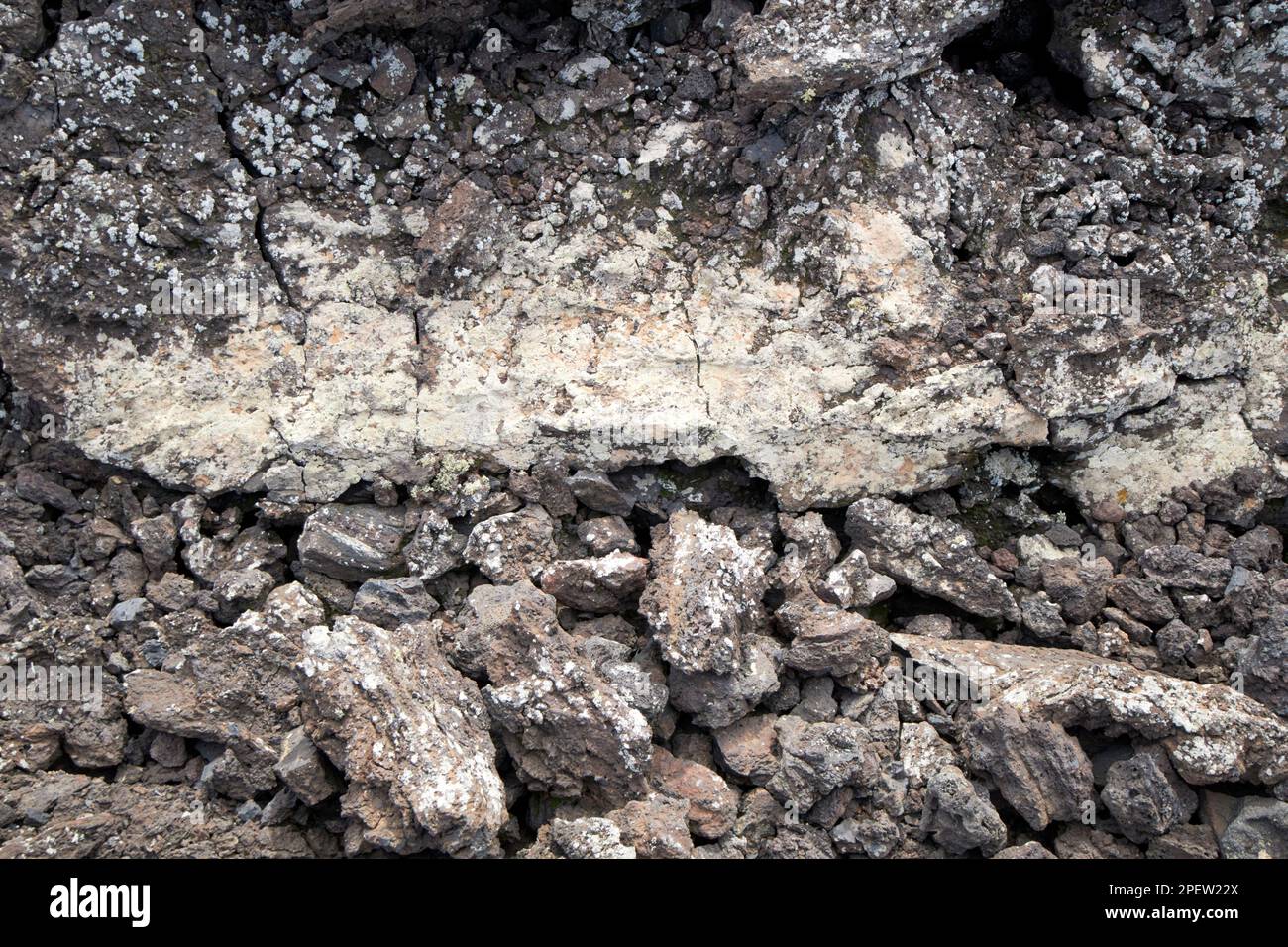 Lichene che cresce su una sezione trasversale riparata del flusso lavico parque nacional de timanfaya Lanzarote, Isole Canarie, Spagna Foto Stock