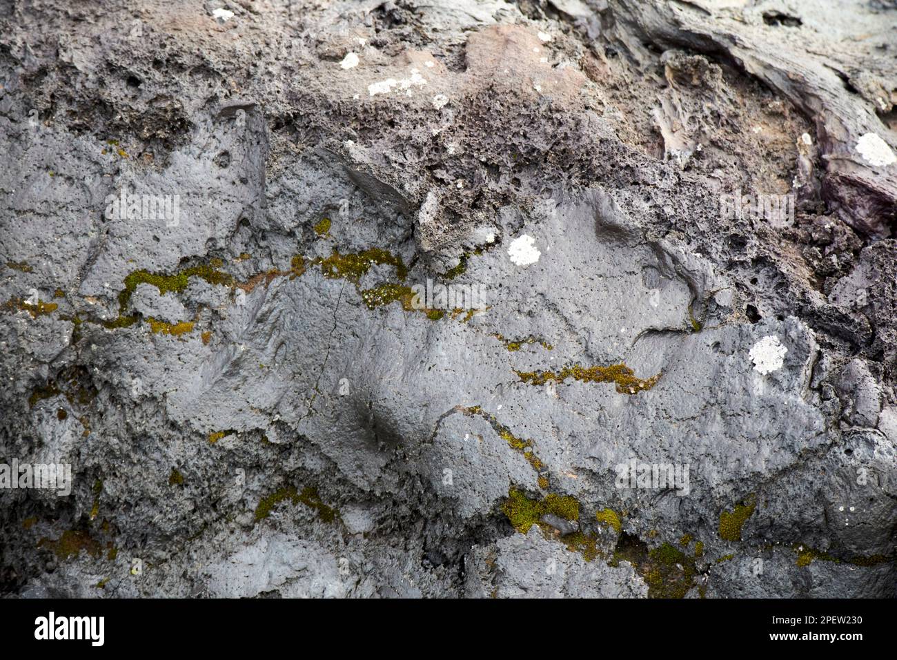 Muschio e lichene che crescono nel fluido flusso di laval parque nacional de timanfaya Lanzarote, Isole Canarie, Spagna Foto Stock