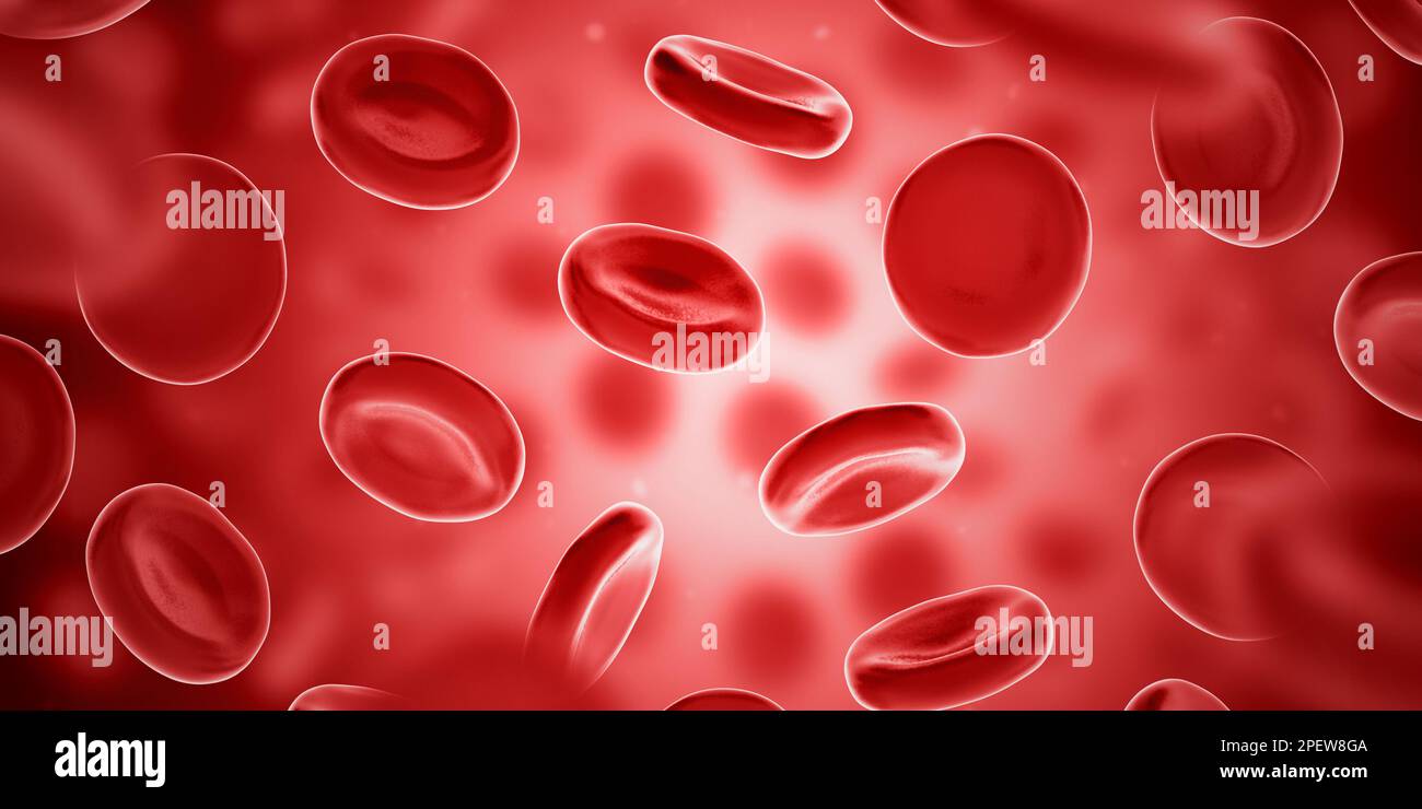 Globuli rossi. Eritrociti. illustrazione 3d. Foto Stock