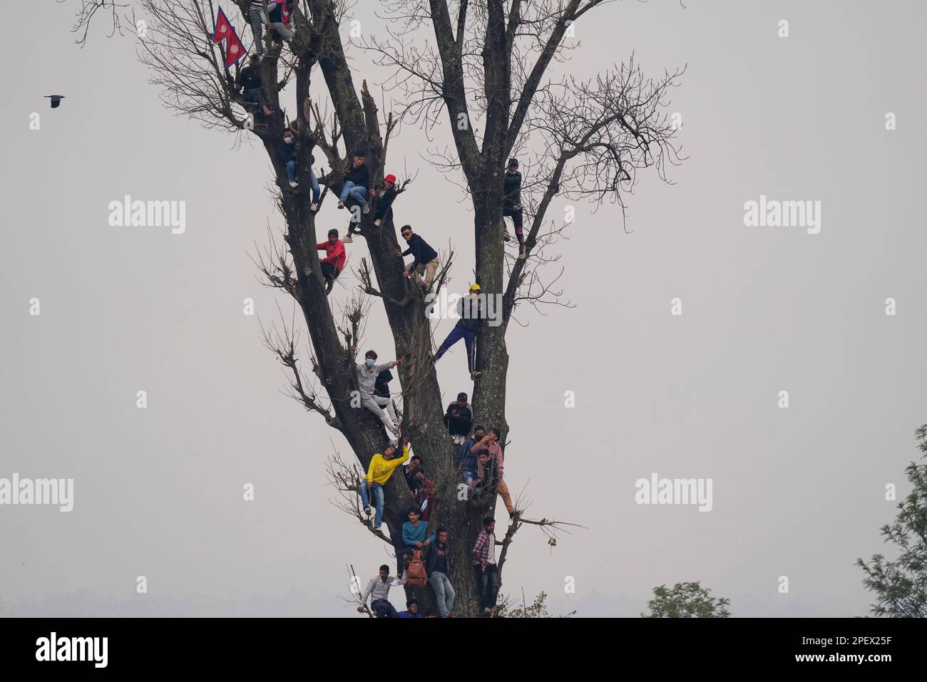 Kirtipur, Nepal. 16th Mar, 2023. I fan nepalesi si arrampicano sugli alberi mentre guardano la partita di cricket tra Nepal e Emirati Arabi Uniti al Tribhuvan University Ground di Kirtipur, Nepal, giovedì 16 marzo 2023. Il Nepal ha creato la storia qualificandosi per i qualificatori della Coppa del mondo ICC che si terranno in Zimbabwe dopo aver battuto gli Emirati Arabi Uniti entro 9 manche con il metodo DLS. (Credit Image: © Skanda Gautam/ZUMA Press Wire) SOLO PER USO EDITORIALE! Non per USO commerciale! Foto Stock