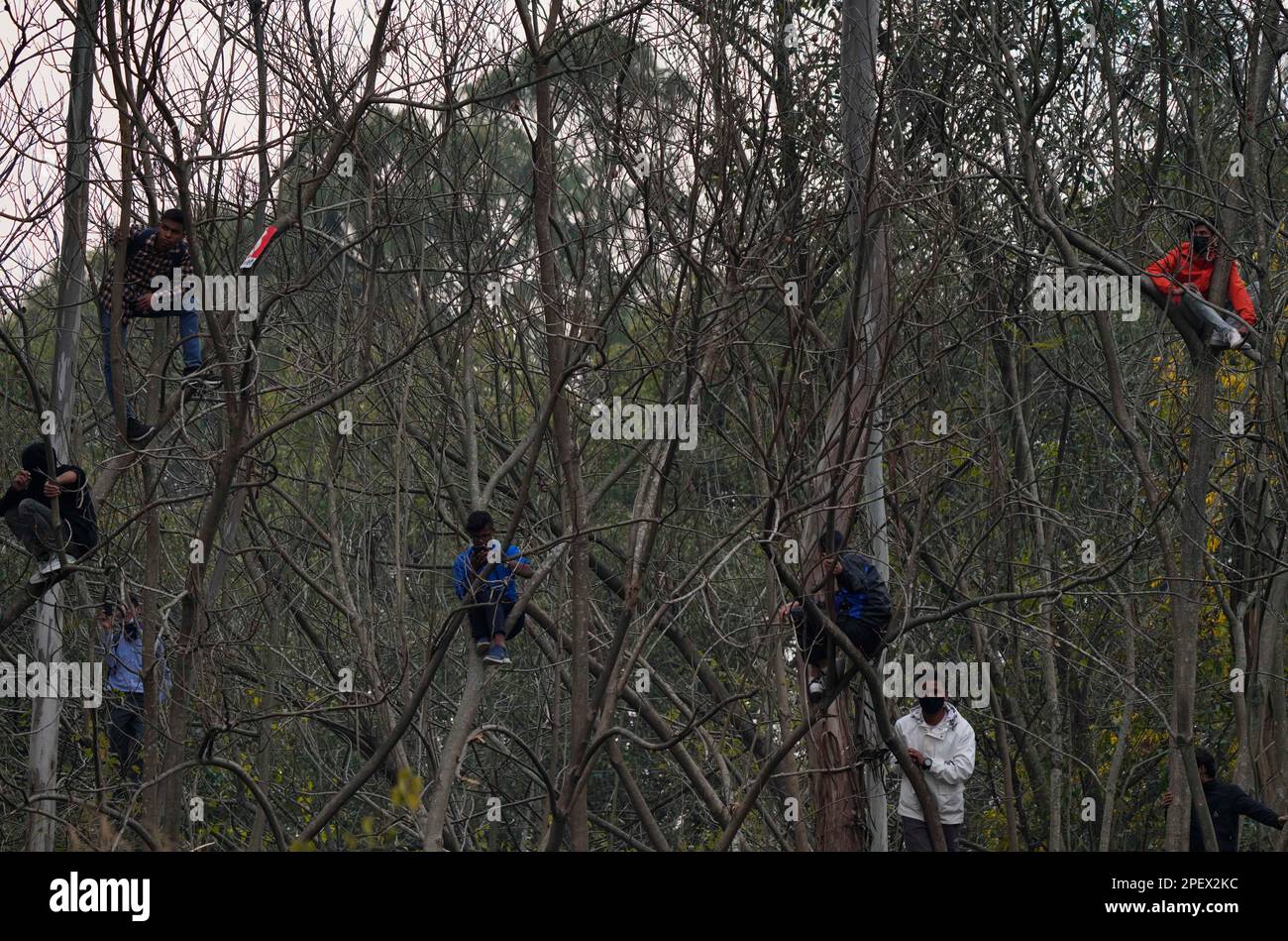 Kirtipur, Nepal. 16th Mar, 2023. I fan nepalesi si arrampicano sugli alberi mentre guardano la partita di cricket tra Nepal e Emirati Arabi Uniti al Tribhuvan University Ground di Kirtipur, Nepal, giovedì 16 marzo 2023. Il Nepal ha creato la storia qualificandosi per i qualificatori della Coppa del mondo ICC che si terranno in Zimbabwe dopo aver battuto gli Emirati Arabi Uniti entro 9 manche con il metodo DLS. (Credit Image: © Skanda Gautam/ZUMA Press Wire) SOLO PER USO EDITORIALE! Non per USO commerciale! Foto Stock