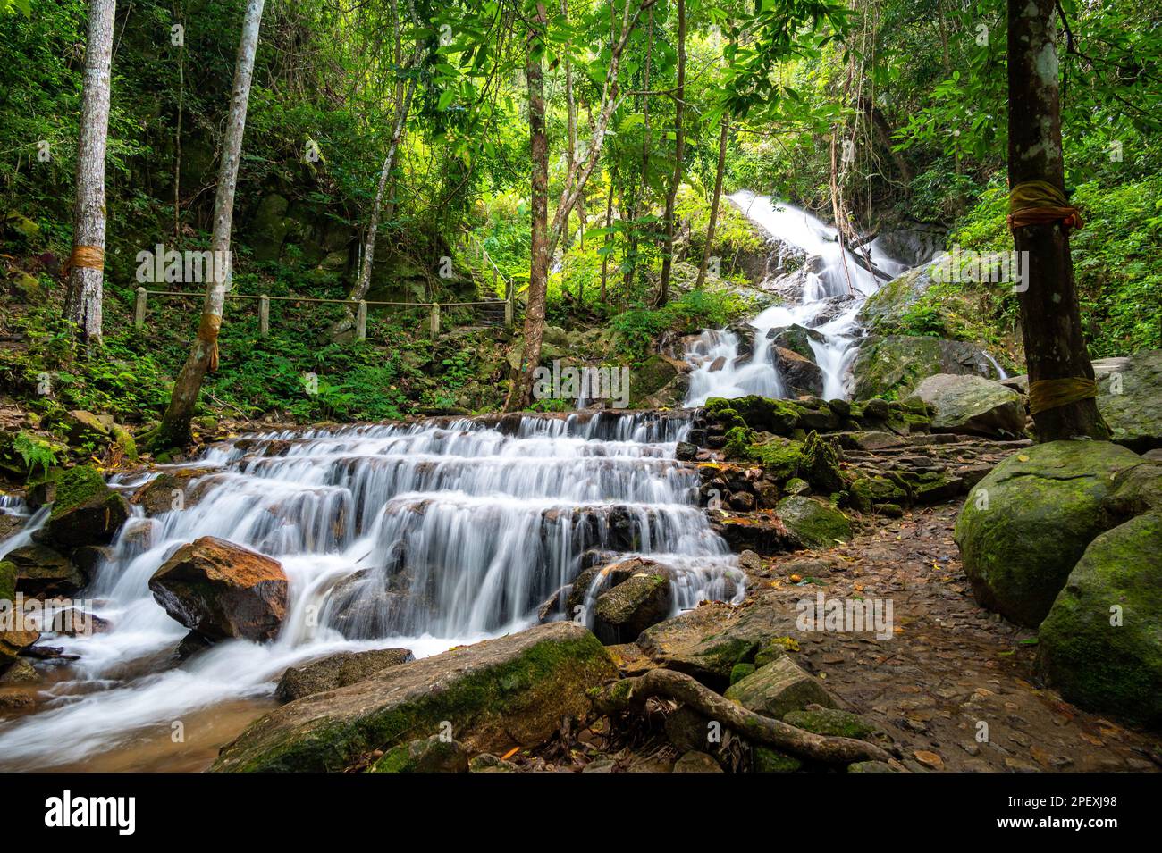 La cascata vicino al villaggio di Mae Kampong, città di Chiang mai, Thailandia. Flusso d'acqua dolce nella giungla. Thailandia montagne. Foto Stock