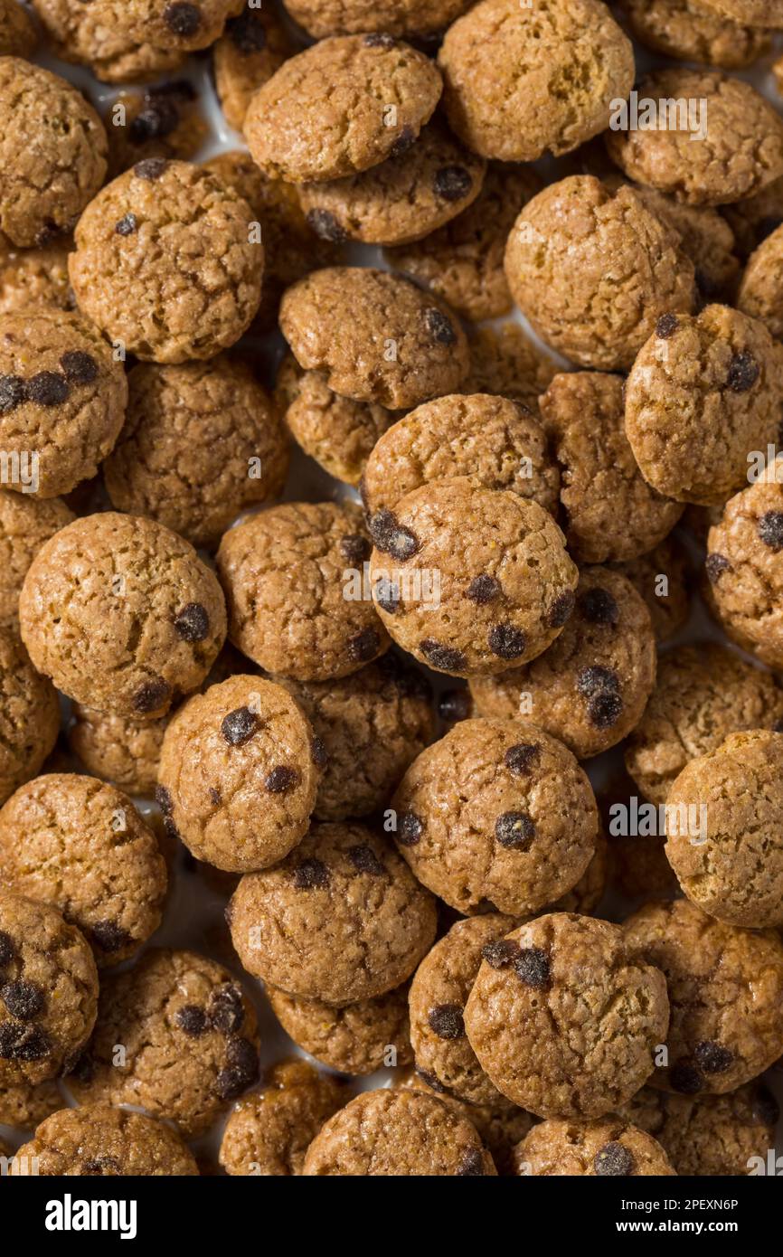 Croccante Chocolate Chocolate chip cookie colazione cereali con latte Foto Stock