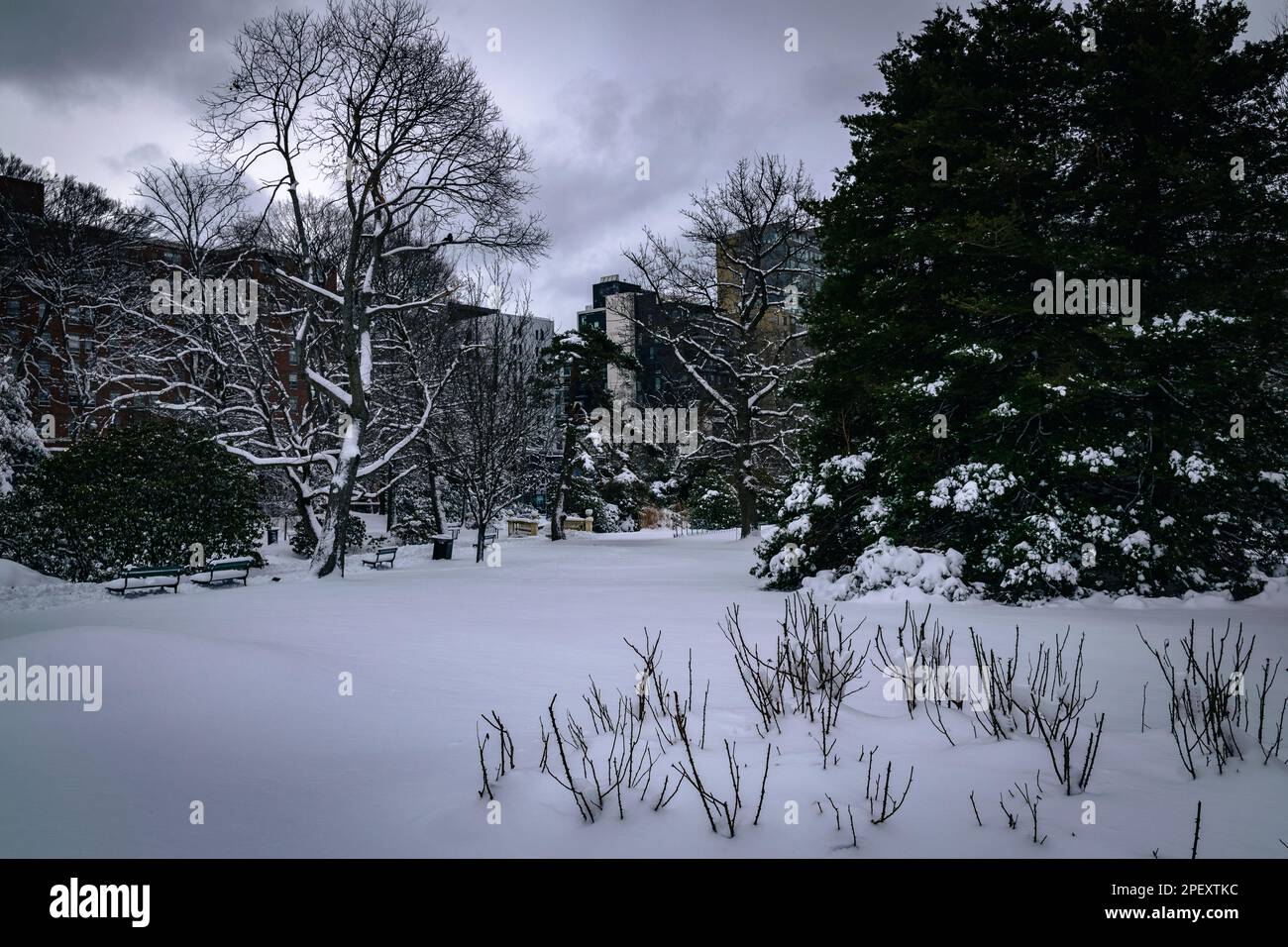 Halifax Public Gardens, sito storico nazionale del Canada Foto Stock