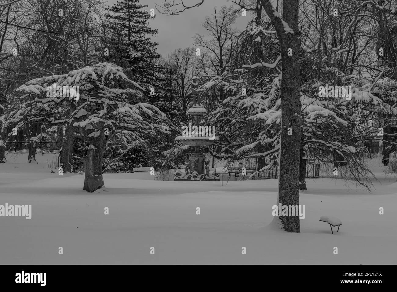 Royal Canadian Dragoons, Boer War Sculpture in Halifax Public Gardens National Historic Site of Canada Foto Stock
