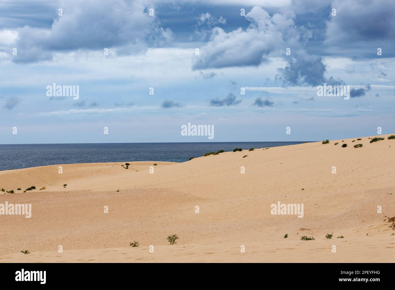 Dune di sabbia nel Parque Natural de Corralejo sull'isola di Fuerteventura nelle Isole Canarie Foto Stock