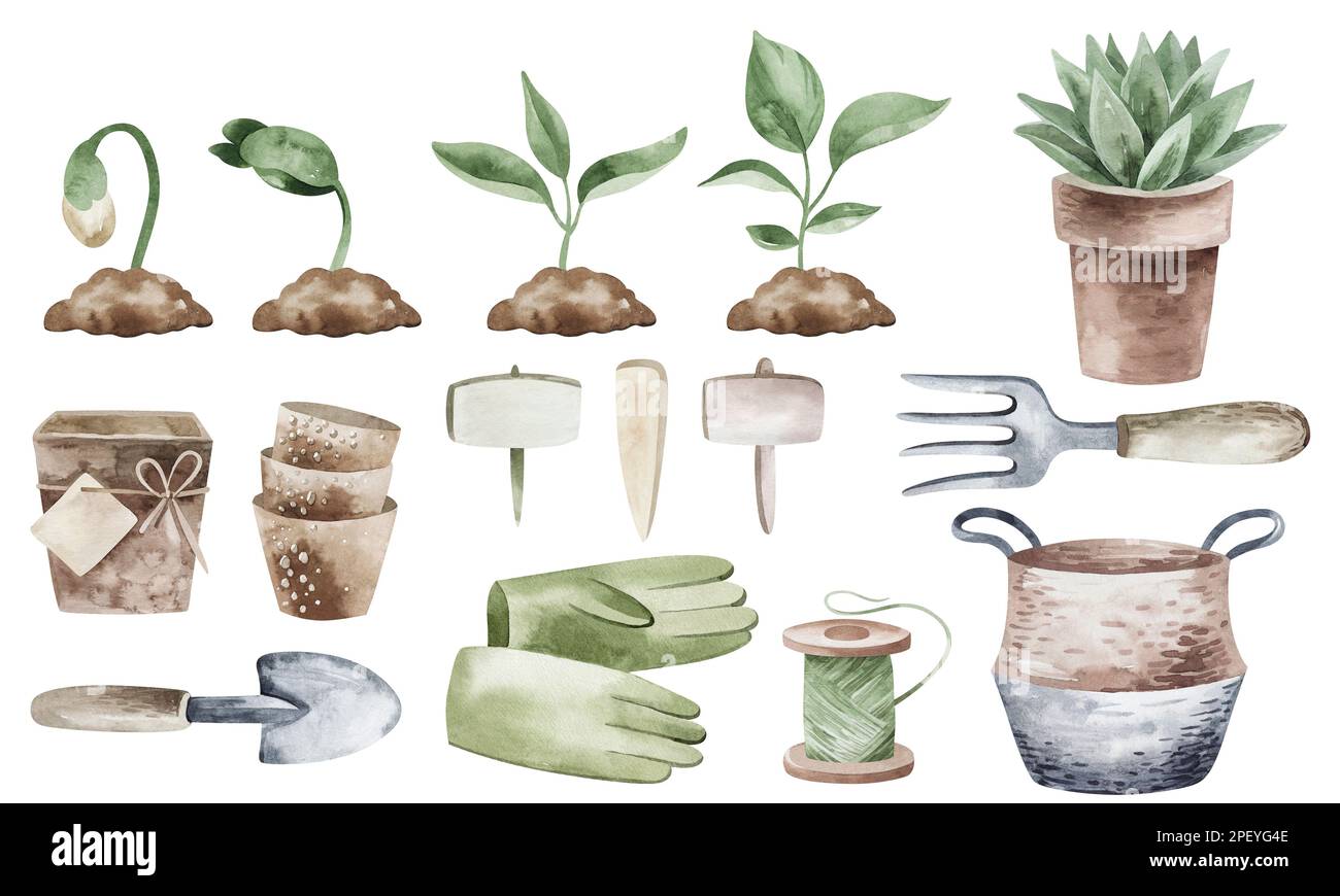 Acquerello illustrazione di hobby di giardinaggio. Piantando giovani pianta, piante. articoli da giardinaggio. Serie di elementi isolati su sfondo bianco. Foto Stock