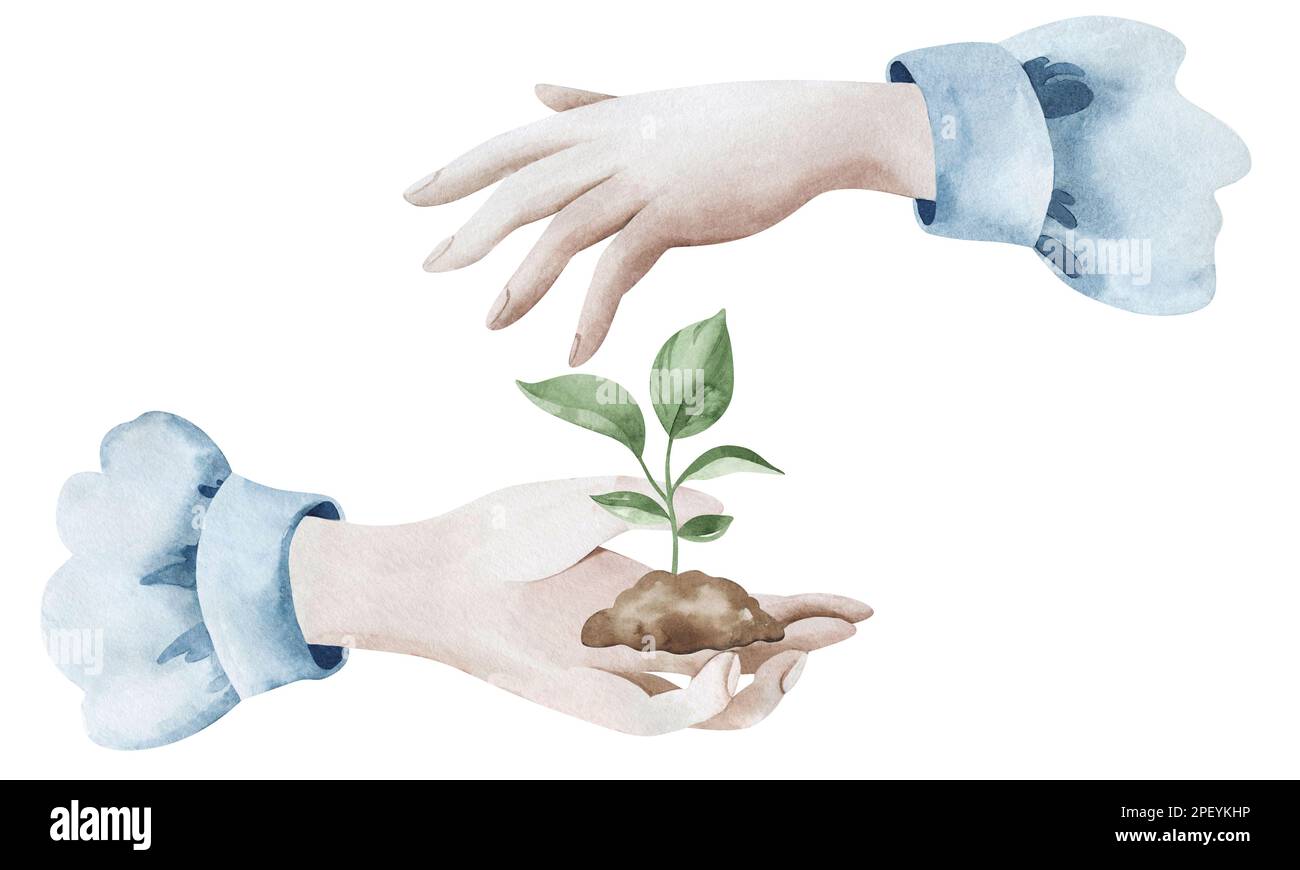 Acquerello illustrazione di hobby di giardinaggio. Piantando giovani pianta, piante. Disegno di mani e piante. Serie di elementi isolati su sfondo bianco. Foto Stock