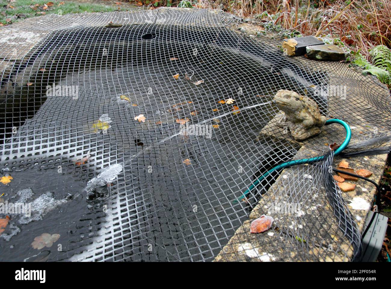 Laghetto da giardino a rete con getto d'acqua gelante a contatto in condizioni di gelo, in particolare sulla rete Foto Stock