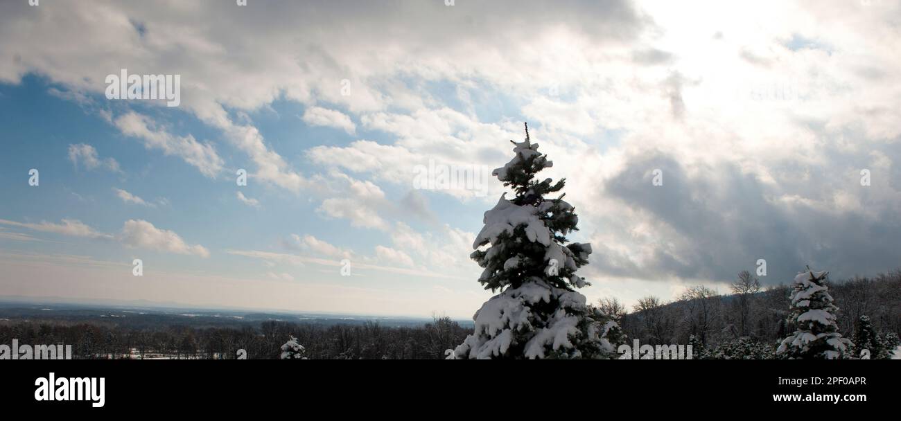 Stati Uniti - Dic 10: l'Appalachian Trail tra la Route 7 e la Route 50 vicino a Bluemont, Virginia. L'Appalachian National sentiero panoramico, generalmente Foto Stock