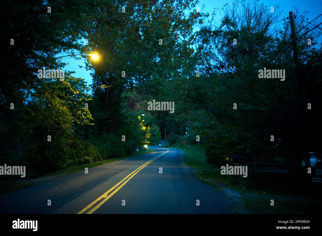 Il villaggio di boschetto di pini nella contea di Clarke Virginia e condivide lo stesso codice postale e indirizzo postale come vicino da Bluemont Virginia off della famosa Snic Foto Stock