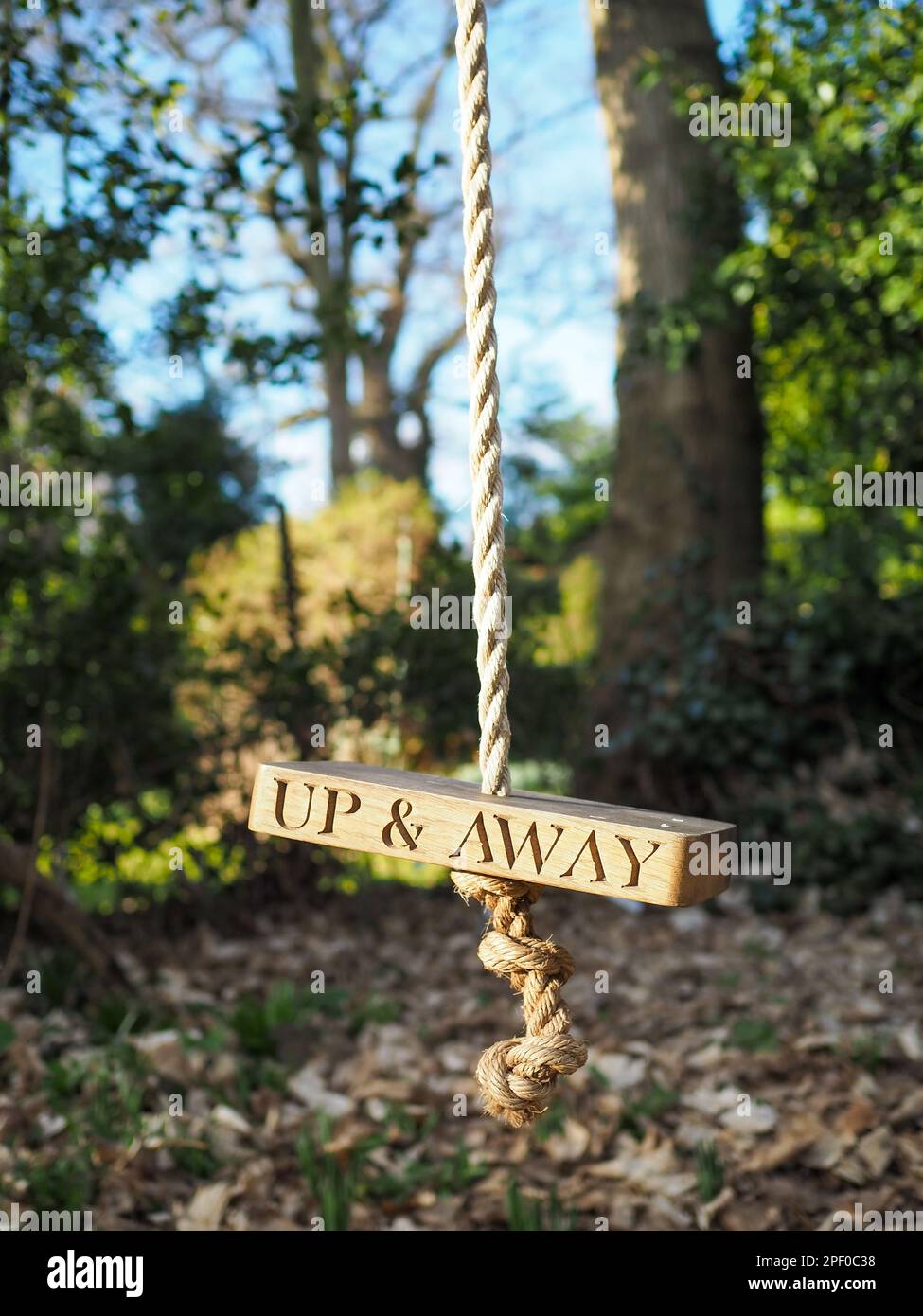 Primo piano di un'oscillazione della corda nel selvaggio con le parole 'Up & Away' sul legno, che esprimono i concetti di libertà, benessere e connessione alla natura Foto Stock