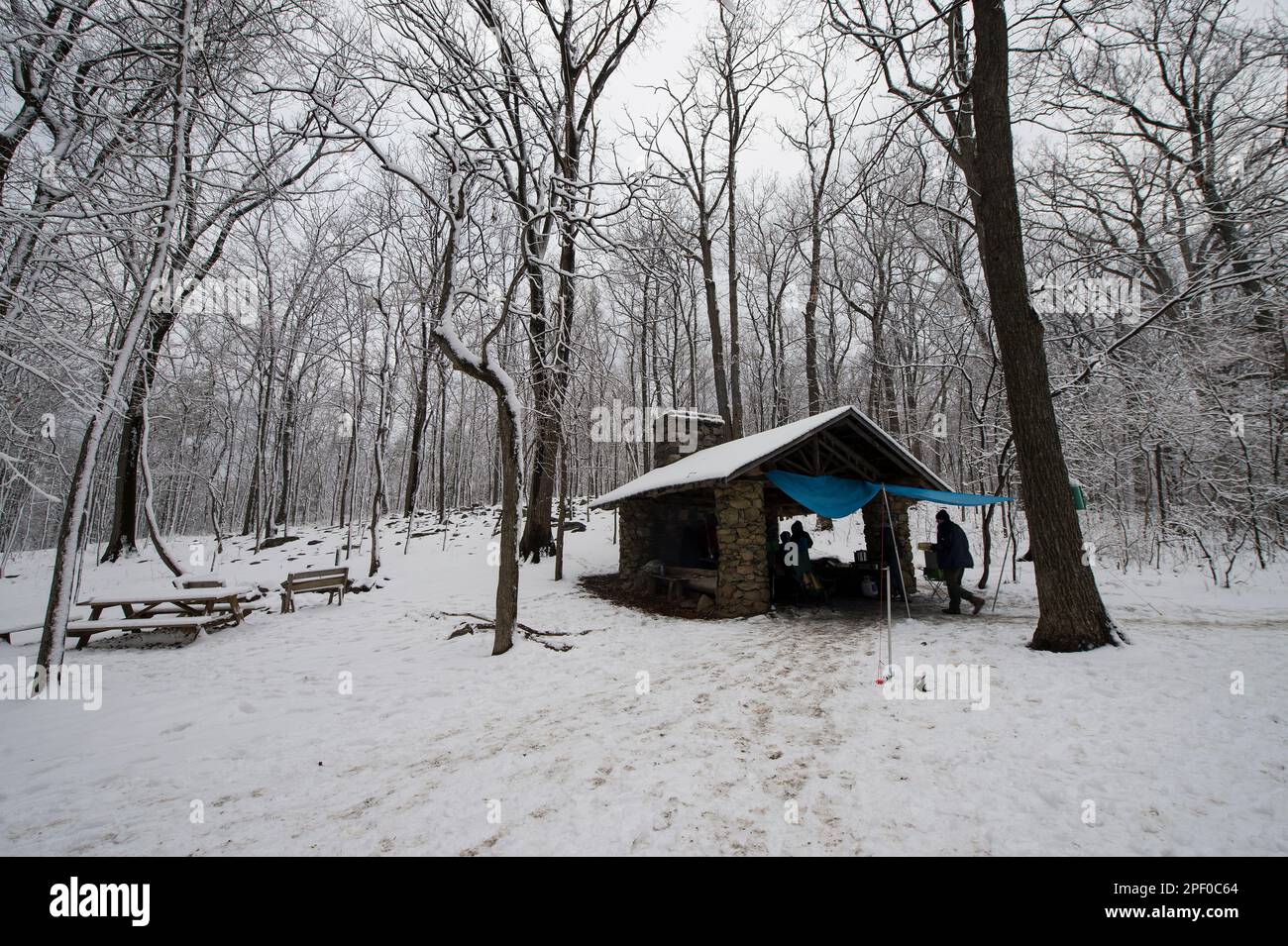 Stati Uniti: Marzo 21, 2015: Arlington Boy Scout Troop 836 aveva un po' sorpresa quando sono arrivati a sopportare Den area camping ultimo praticamente il primo giorno o Foto Stock