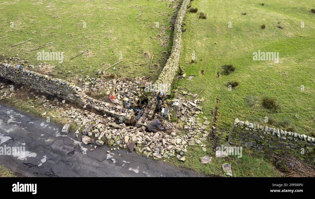 muri a secco che ricostruiscono un muro come parte di un progetto ambientale governativo su una fattoria in collina nel Yorkshire Dales, Regno Unito. Foto Stock