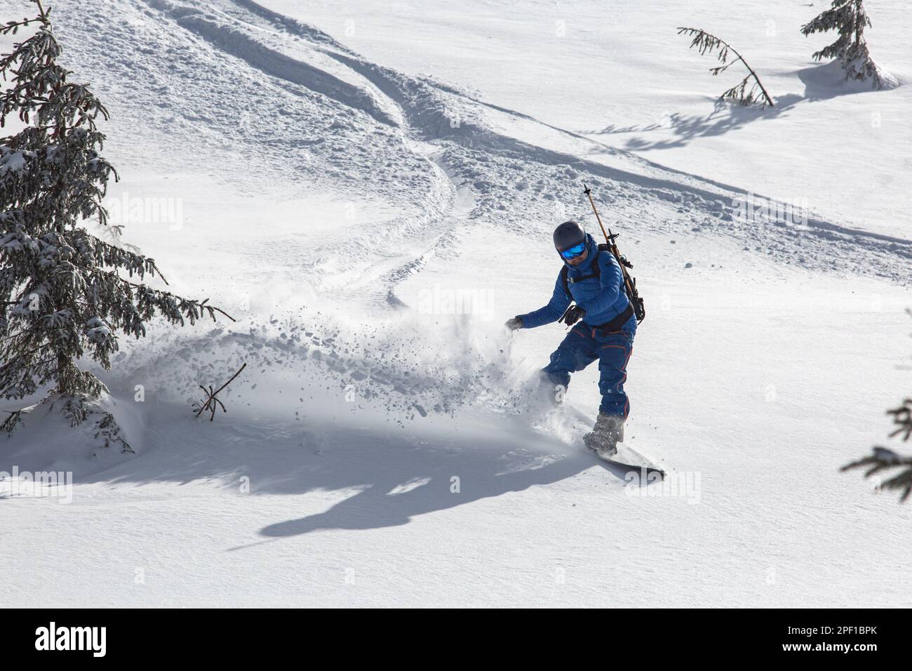 il backcountry snowboarder attraversa elegantemente la neve incontaminata e incontaminata, lasciando dietro un sentiero di polvere di neve in loro scia Foto Stock