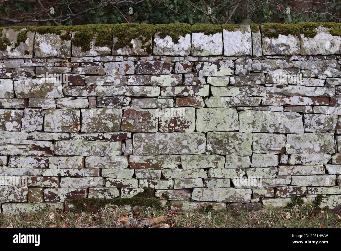 Sezione di muro di pietra a secco ricoperto di lichene bianco Foto Stock